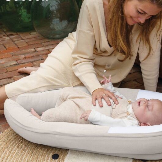 Doomoo Cocoon Progressive Baby Nest, by BABYMOOV grey