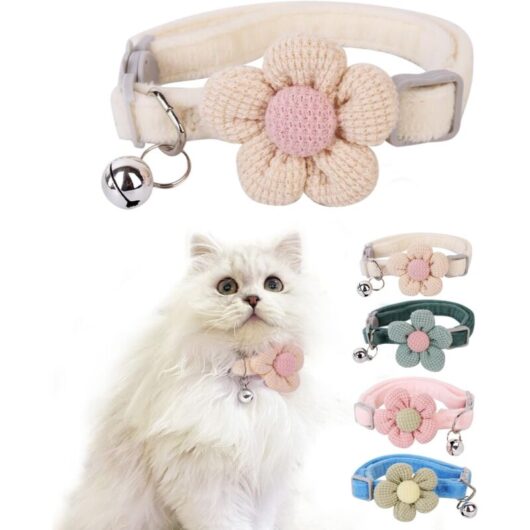 Groofoo - Cat Collar With Flower for Girls and Boys, Breakaway With Bells, Adjustable Kitten Collar, Cute (Beige, Breakaway)