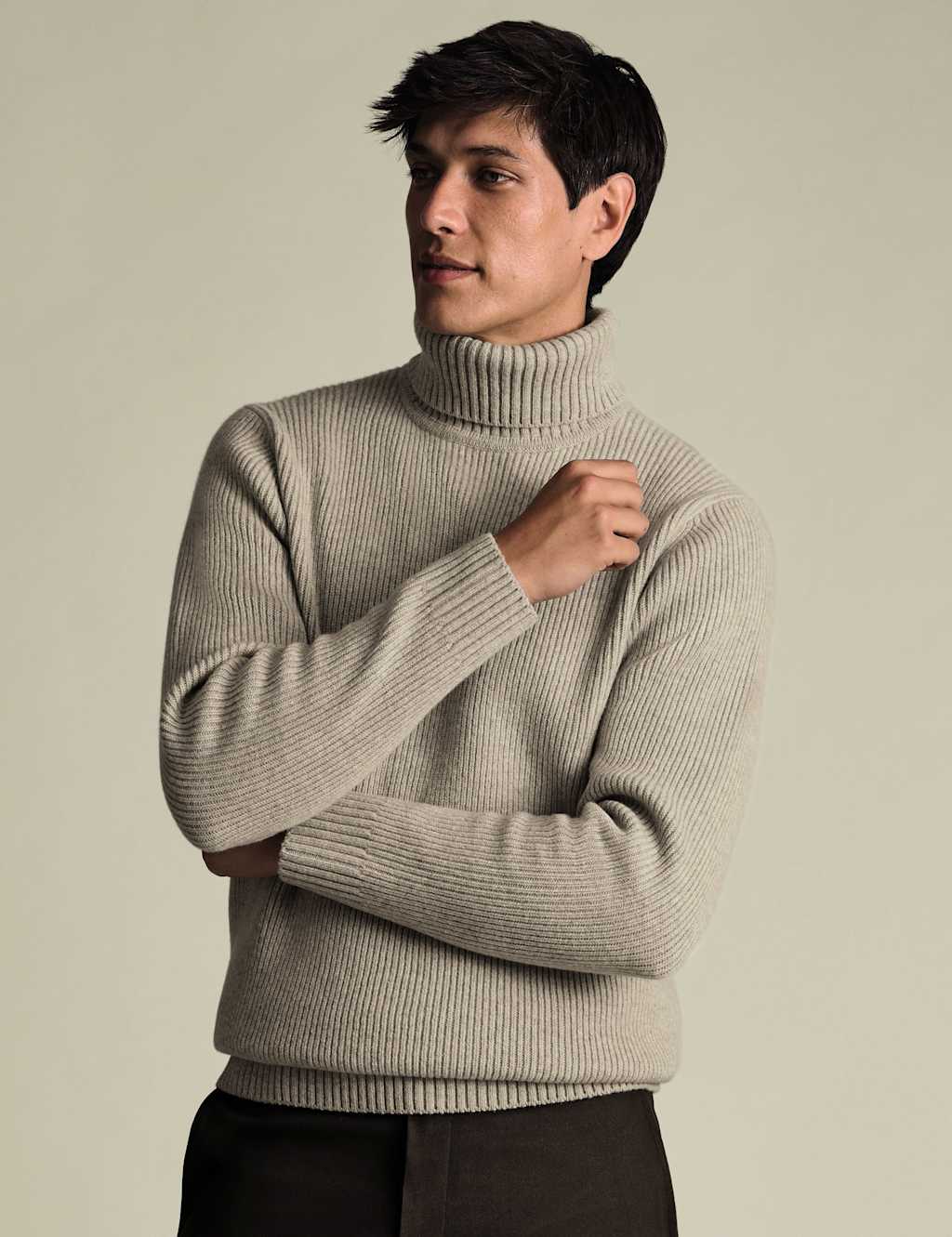 Charles Tyrwhitt Pure Merino Wool Roll Neck jumper Oatmeal