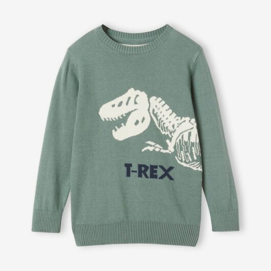 Fun Dino Jumper for Boys sage green