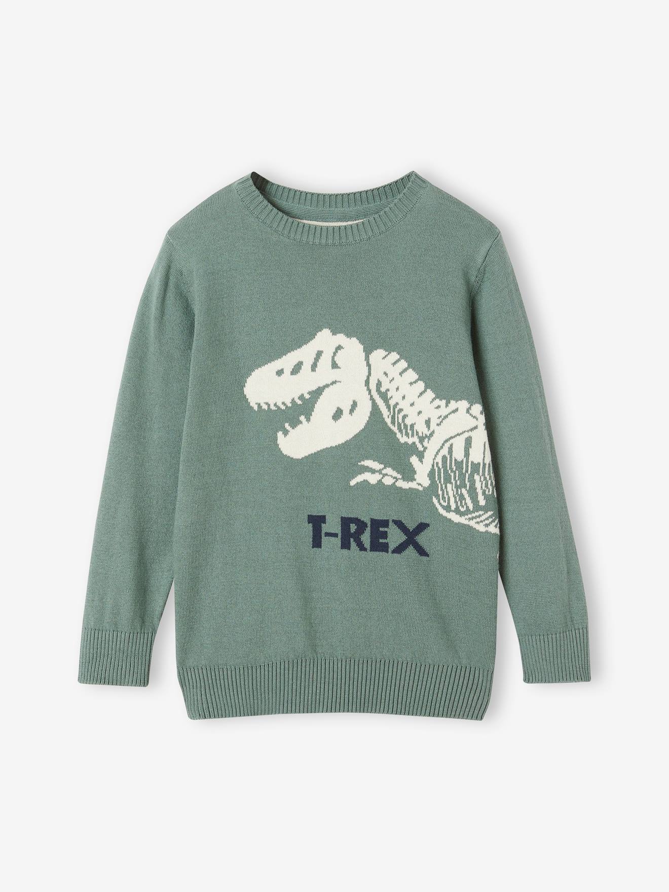 Fun Dino Jumper for Boys sage green