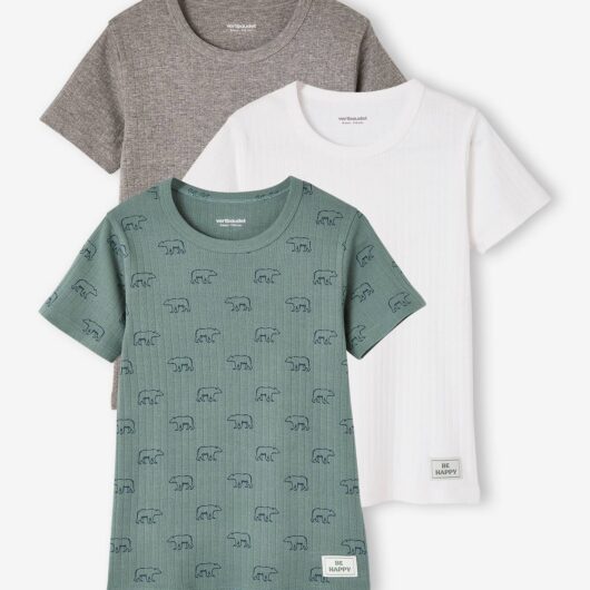 Pack of 3 Short Sleeve Bear Tops in Rib Knit, for Boys emerald green