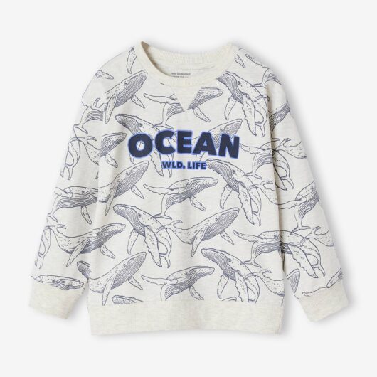 Printed Sweatshirt-Style Top for Boys marl white