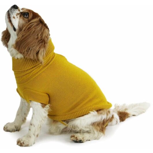An Knit Jump Mustard lge - 658584