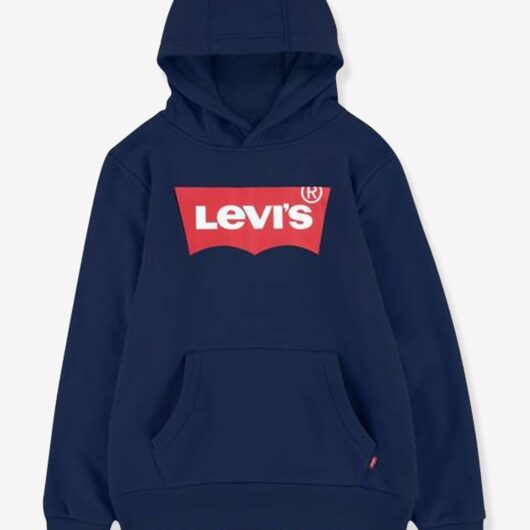 Hoodie, LEVI'S® Batwing Screenprint blue