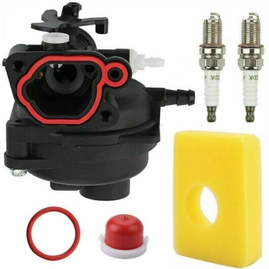 1 Briggs & Stratton carburetor, complete kit with O-ring and air filter, compatible with 300E to 725XI, for lawnmowers and outboard motors