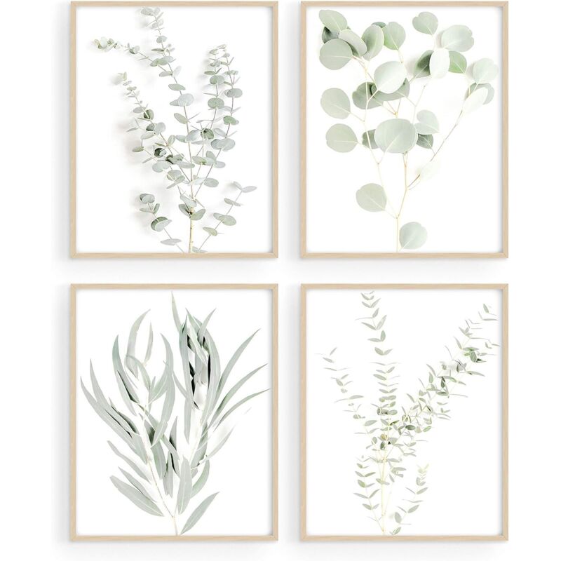 4 botanical posters, eucalyptus leaves, unframed (8x10)