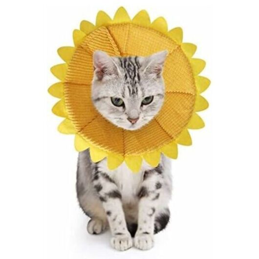 Anti-Bite Cone Collar for Dogs and Cats, Adjustable Protection, Comfy Cone Recovery Collar for Dogs and Cats with Adorable Yellow Sunflower Pattern