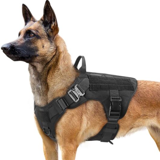 Anti-pull dog harness, size L (black), tactical style, handle + metal buckle, breathable and adjustable