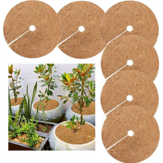 Coconut Plant Mat, Coconut Mulch Disc, Winter Protection for Potted Plants, Protects Potted Plant Roots from Frost, 30cm, 6 Pieces