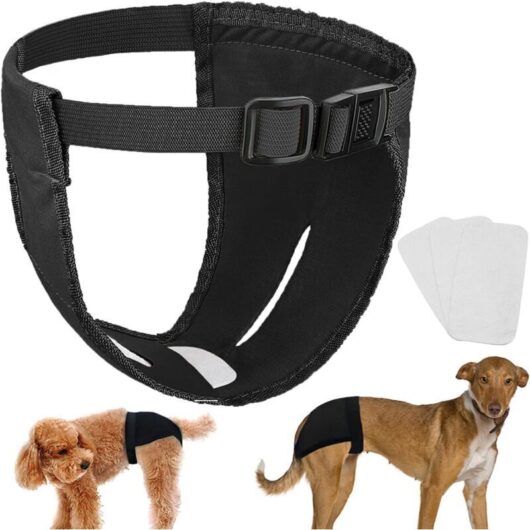 Dog Heat Diapers, Washable Dog Menstrual Diapers, 3-Pack with 9 Sanitary Pads, Black, Medium