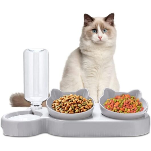 Double Elevated Cat Bowl, Automatic Food and Water Dispenser for Cats and Dogs, 15° Tilt, Neck Protection, Anti-Vomiting, for Small Animals (Grey)