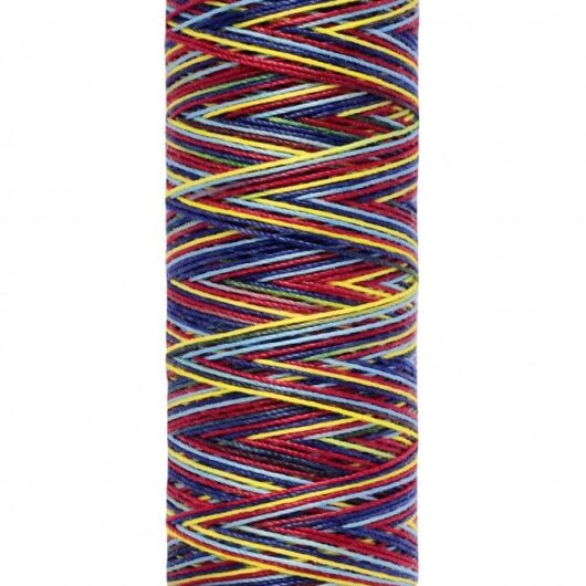 Gutermann Multicolour Deco Stitch 70 Thread 9831