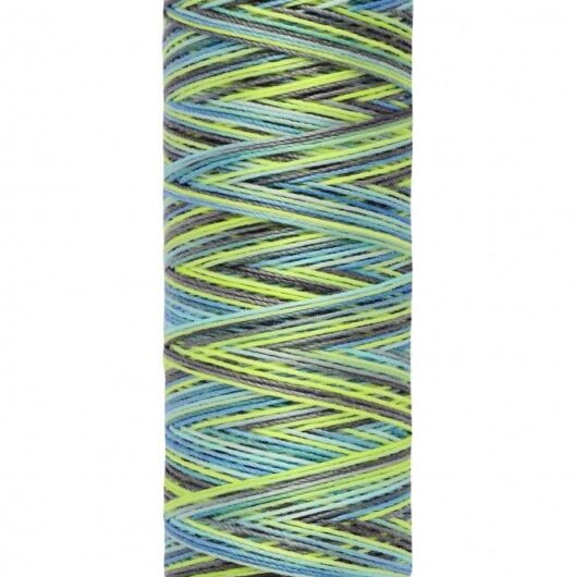 Gutermann Multicolour Deco Stitch 70 Thread 9852