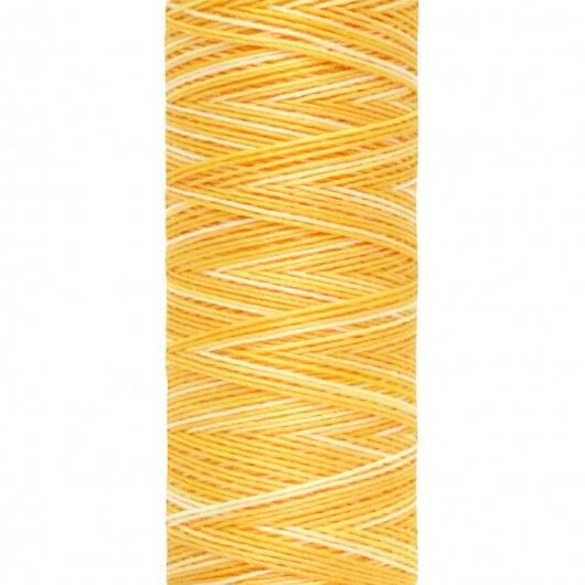 Gutermann Multicolour Deco Stitch 70 Thread 9926