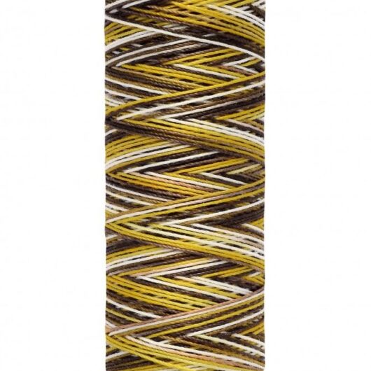 Gutermann Multicolour Deco Stitch 70 Thread 9929