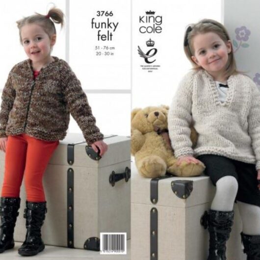 King Cole Funky Felts Knitting Pattern 3766