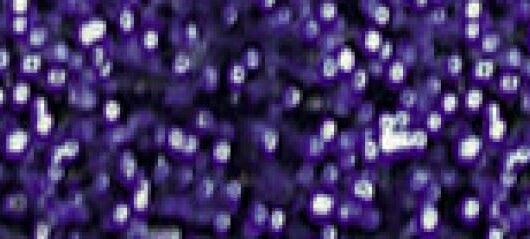 Madeira Nora Metallic Thread (Value Pack) Col 338