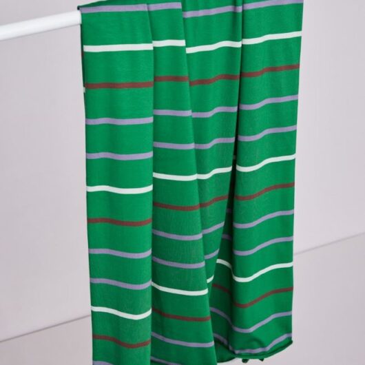 Meet MILK Nova Stripe Tencel Modal Cotton Jersey Stretch Knit Fabric Frog