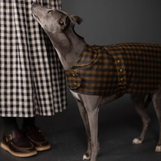 Merchant and Mills Paper Sewing Pattern Barka Dog Coat