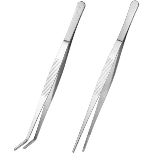 Set of 2 Stainless Steel Tweezers (Silver) - Csparkv
