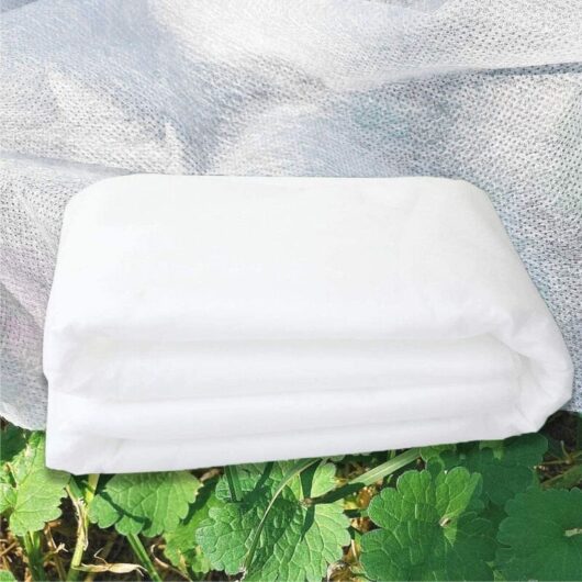 Winter Plant Cover 40g/m², 1.6 x 5 m, Non-Woven Fleece Plant Cover, Winter Roll Cover to Protect Outdoor Plants from Frost - Frost Resistant